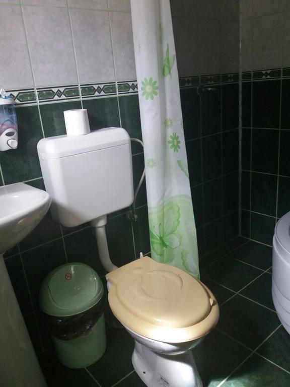 Hotel Casa Dobrin Arefu Esterno foto